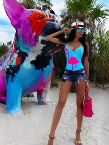 Flamingo Print One Piece Swimsuit - Blue / s Stylord