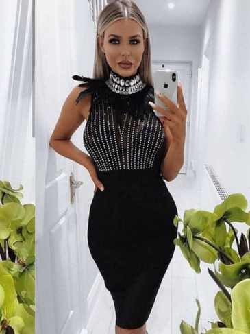 Hot Stamping Feather Embellished Dress - Black / s Stylord