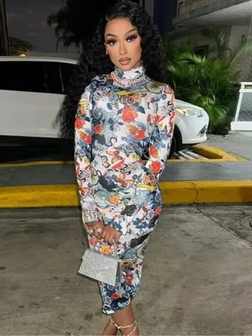 Long Sleeve Print Slim Fit O-neck Dress - Multi / s Stylord