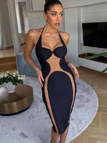 Mesh Patchwork Sleeveless Backless See Through Dress - Black / s Stylord