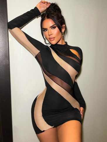 Mesh Thin Long Sleeve Double Color Spliced Mini Dress - Black / s Stylord