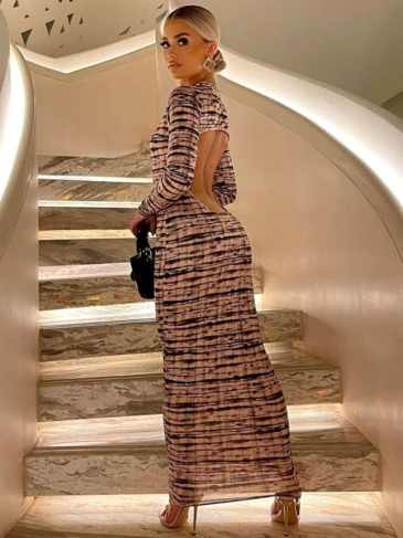 New Leopard Sexy Backless Long Sleeve Dress - Brown / s Stylord