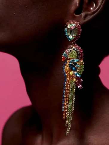 Parrot Statement Tassel Earrings - Multi Stylord
