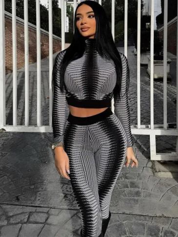 Print Long Sleeve High Neck Crop Top Two Piece Set - Stylord