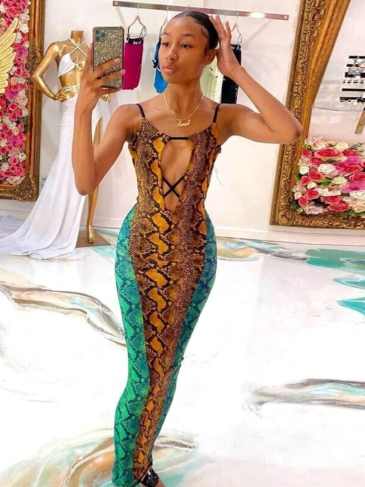Snake Patchwork Party Maxi Dress - Multi / s Stylord