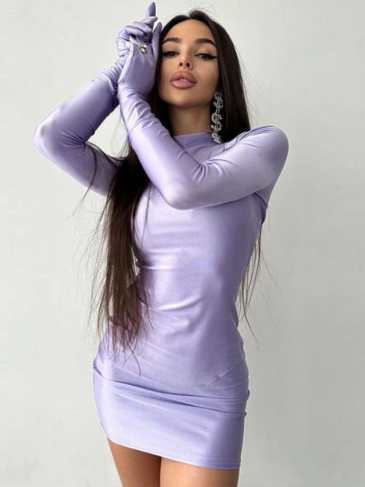 Solid Elegant Slim Long Sleeve Mini Dress With Gloves - Purple / s Stylord
