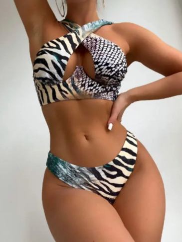 Zebra Stripe & Snakeskin Push Up Bikini Swimsuit - Multi / s Stylord