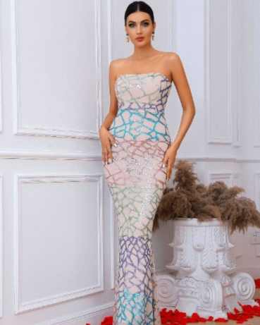 Zipped Backless Sequin Prom Evening Dress - Rent / Multi s Stylord